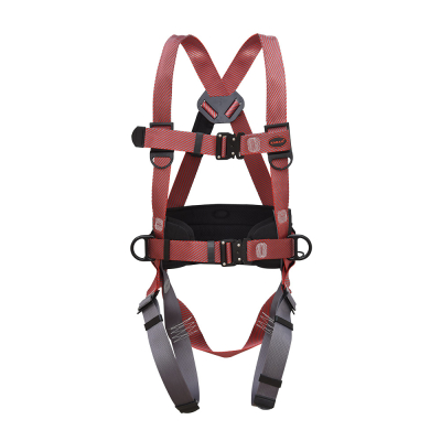Safety Harness with 3 Adjustment & 2 Attachment Points